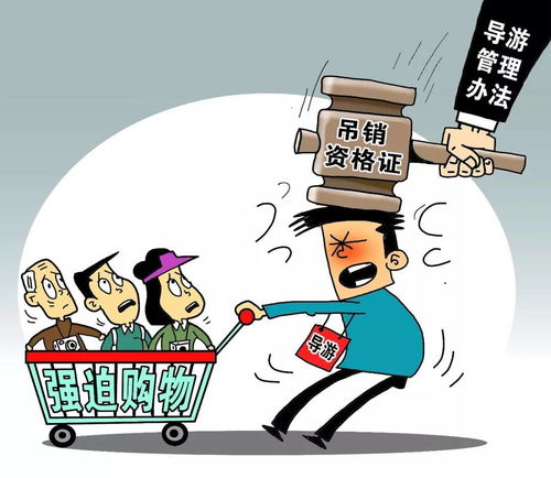 2018年1月1日起，黃石人生活質(zhì)量提升新規(guī)與上海網(wǎng)絡(luò)技術(shù)轉(zhuǎn)讓的聯(lián)動(dòng)影響